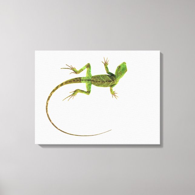 Lizard on White Ground Leinwanddruck (Vorderseite)