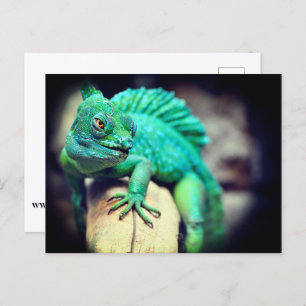 Lizard Postkarte