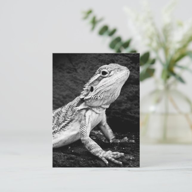 Lizard Postkarte (Stehend Vorderseite)