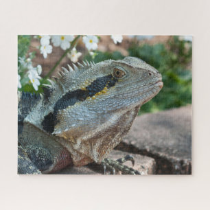 Lizard Reptile Eastern Water Dragon Puzzle