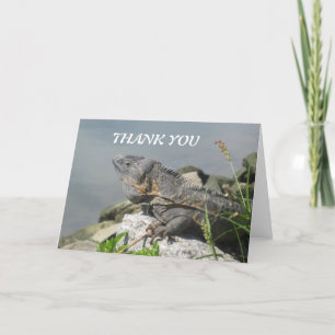 Lizard Rock Thank You Greeting Card Dankeskarte