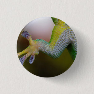 Lizard - Schaltfläche Button