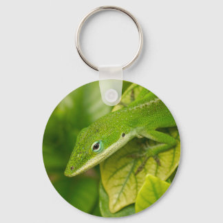 Lizard Schlüsselanhänger 01
