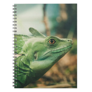 Lizard sieht nah nach oben notizblock