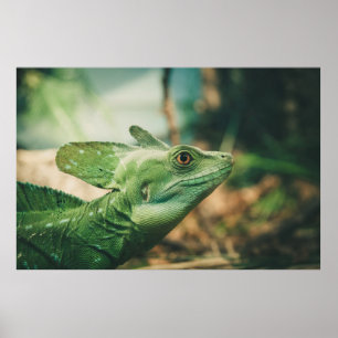 Lizard sieht nah nach oben poster