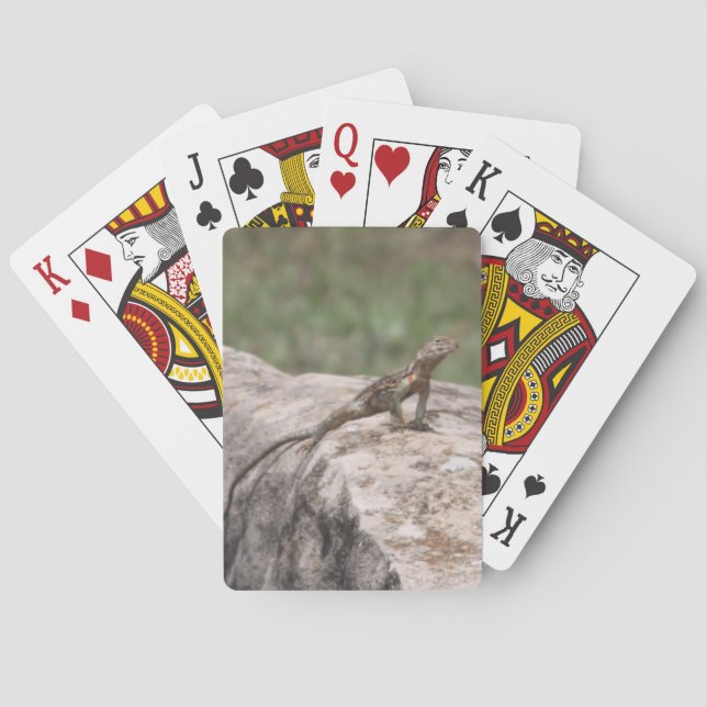 Lizard Spielkarten (Rückseite)