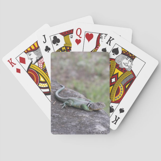 Lizard Spielkarten (Rückseite)