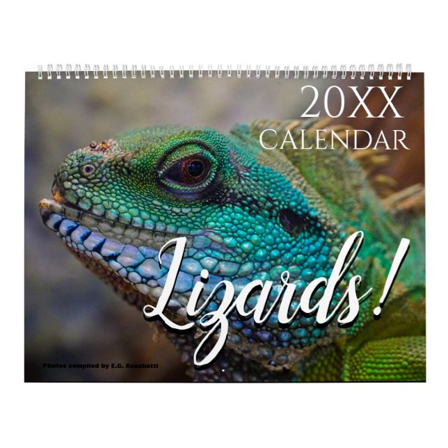 Lizard Themed 2025 Wall Calendar Geschenk Kalender (Titelbild)
