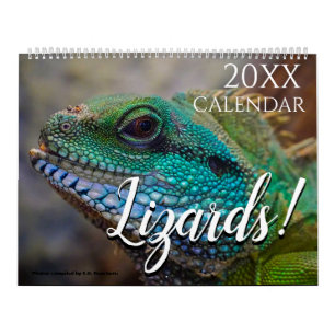 Lizard Themed 2025 Wall Calendar Geschenk Kalender