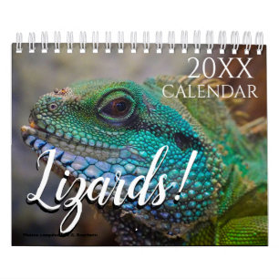 Lizard Themed 2025 Wall Calendar Geschenk Kalender