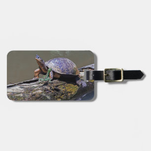 Lizard und Fluss Turtle in Tortuguero - Costa Rica Gepäckanhänger