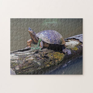 Lizard und Fluss Turtle in Tortuguero - Costa Rica Puzzle