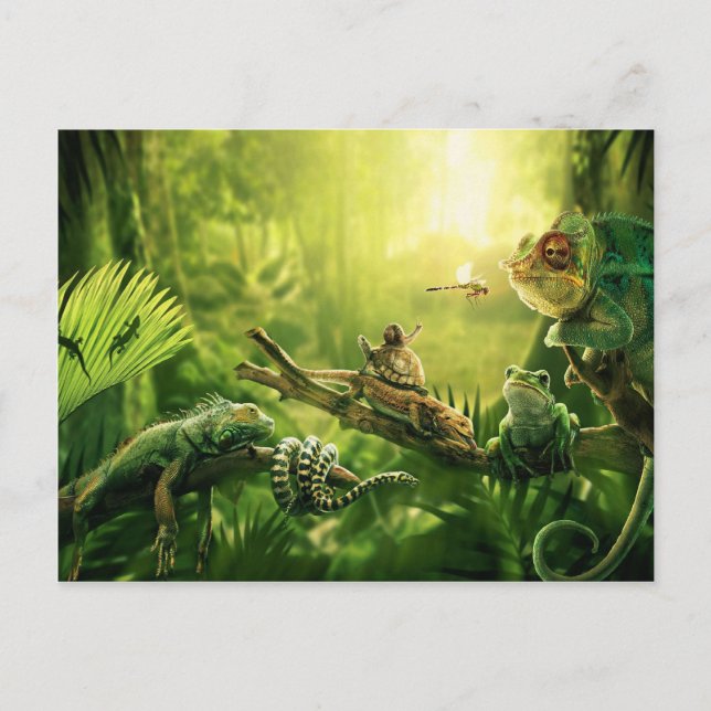 Lizards Frogs Jungle Reptiles Landschaft Postkarte (Vorderseite)