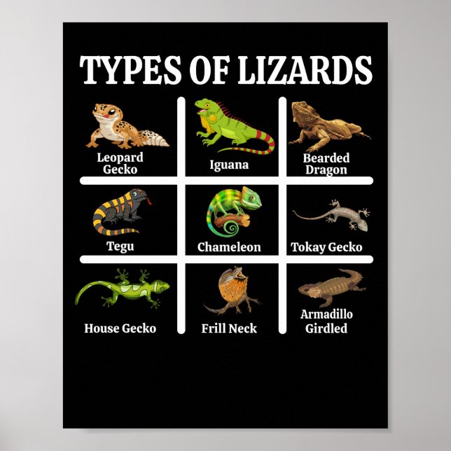 Lizards Reptilien Poster (Vorne)