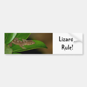Lizards Rule Autoaufkleber