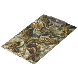 Lizards von Ernst Haeckel Vintag Lacertilia Animal Klemmbrett