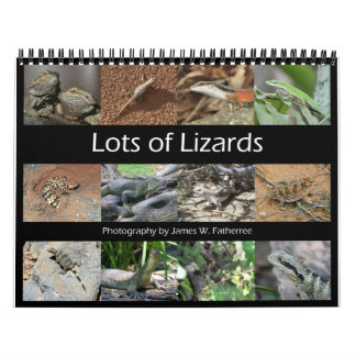 Lizards Wall Calendar von J.W. Vater. Kalender