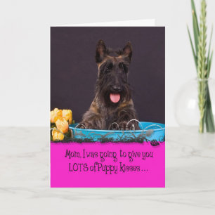 Lizenz Scottish-Terriers Licker Karte