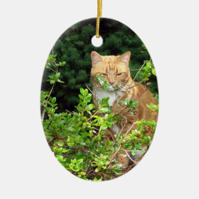 Lizzie, die Katze, im Vorgarten Keramikornament (Vorne)