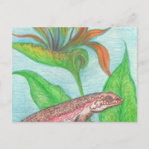 Lizzzard Postcard Postkarte