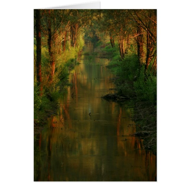 Ljubljana macht fest (Vorne)