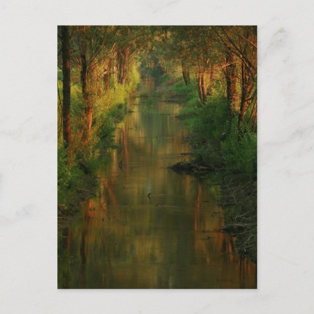 Ljubljana Moors Postkarte (Vorderseite)