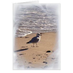 Lkes weite Spaziergänge auf dem Strand…
