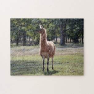 Llama A Poser Tier-Natur-Puzzle Puzzle