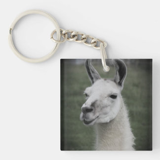 Llama Abzeichen Schlüsselanhänger