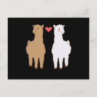 Llama Alpaca Llamas Alpacas Sweet Animal Design