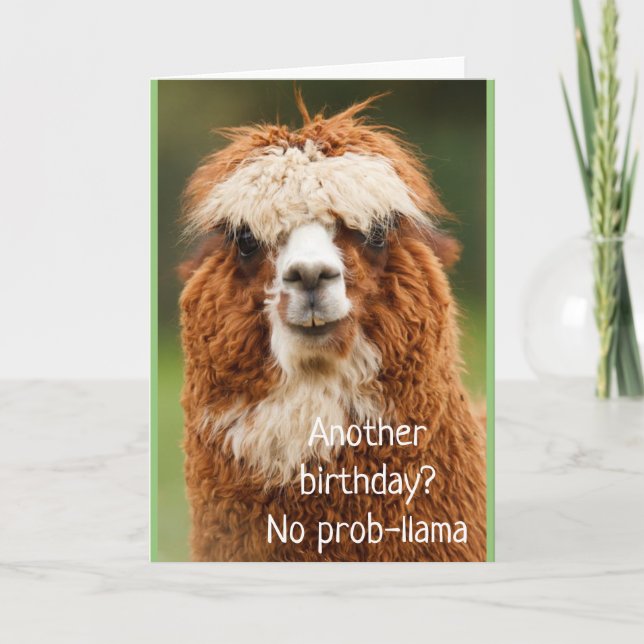 Llama Alpaca No Prob-llama Birthday Card Karte (Vorderseite)