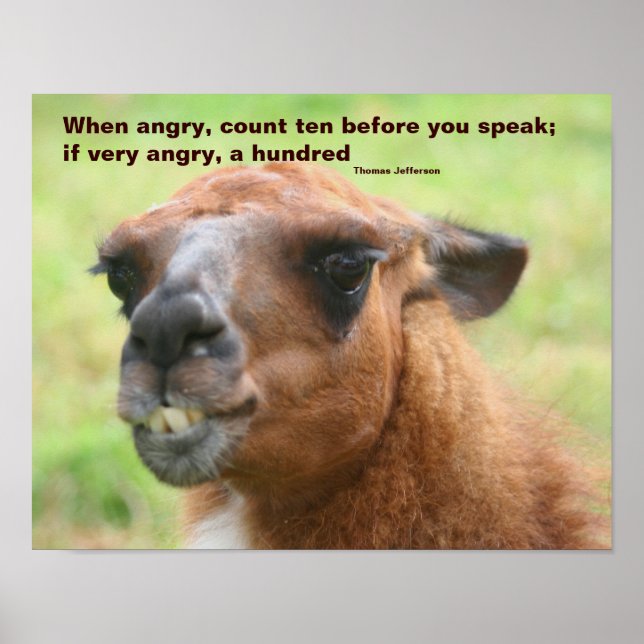 Llama Anger Zitat Inspiration Poster (Vorne)