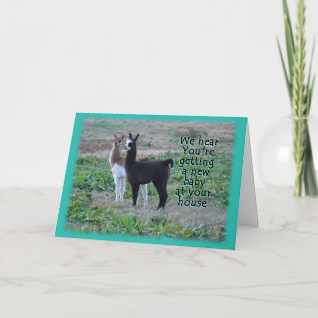 Llama Baby Card Karte (Vorderseite)