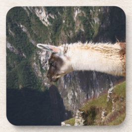 Llama bei Machu Picchu Untersetzer
