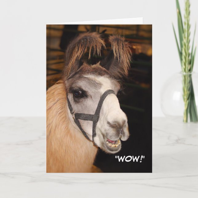 Llama Birthday Card Karte (Vorderseite)