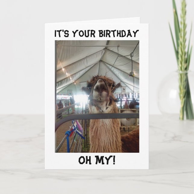 LLAMA BIRTHDAY KARTE SPRECHEN BRINGEN SIE MICH AUS (Vorderseite)