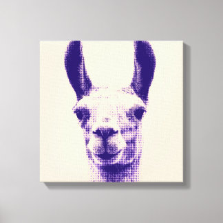 Llama Canvas Print Leinwanddruck