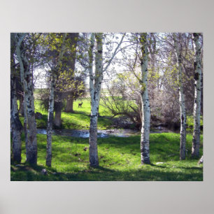 Llama durch Bäume Poster