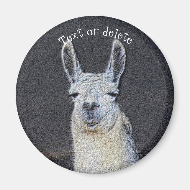 Llama Face Animal Art Personalized Magnet (Vorne)