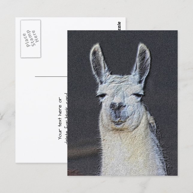 Llama Face Animal Art Personalized Postkarte (Vorne/Hinten)