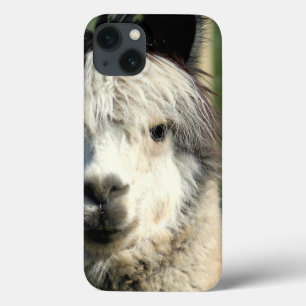 Llama Face Case-Mate iPhone Hülle