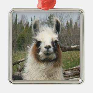 LLAMA FACE SILBERNES ORNAMENT