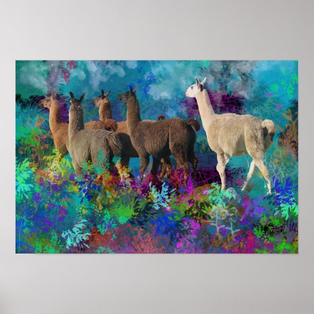 Llama Five Walk in Fantasy Land for Camelids Poster (Vorne)