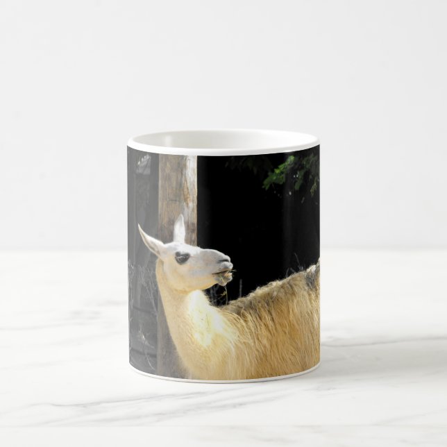 Llama fütternd tasse (Mittel)