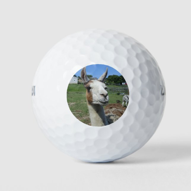 Llama Golfball (Vorderseite)