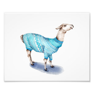 Llama in Blue Sweater Fotodruck