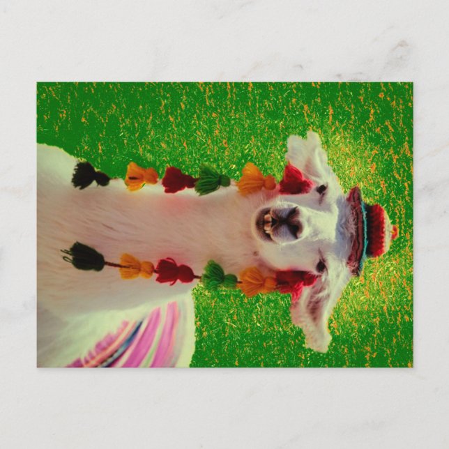 Llama in Chiloe-Chile mit Ornamenten Ankündigungspostkarte (Vorderseite)