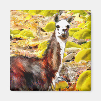 Llama in den Anden Bergen Peru Magnet