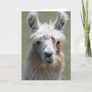 Llama Karte