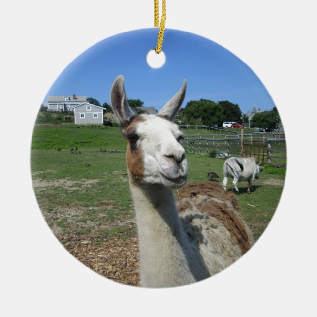 Llama Keramikornament (Vorne)
